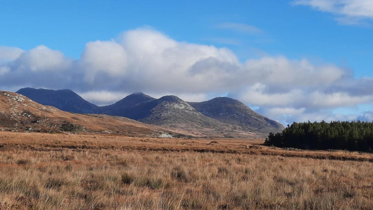 Clifden Wildflower Cottage - Clifden Countryside Lettings 外观 照片