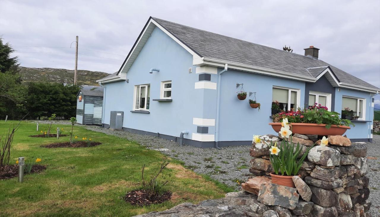 Clifden Wildflower Cottage - Clifden Countryside Lettings 外观 照片