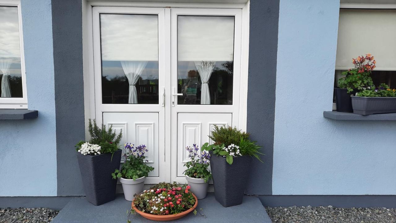 Clifden Wildflower Cottage - Clifden Countryside Lettings 外观 照片