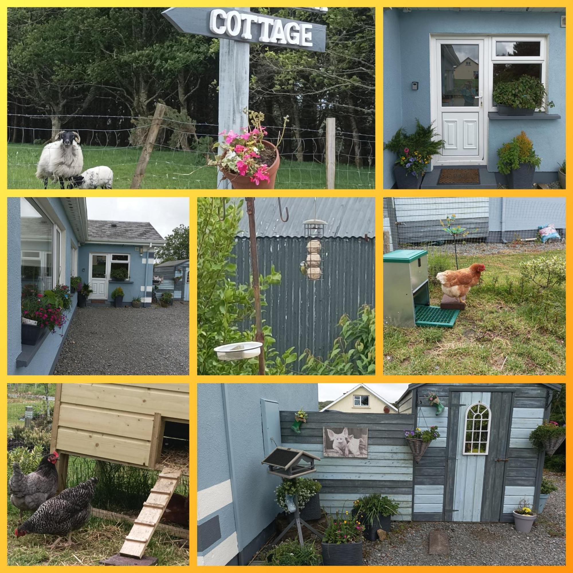 Clifden Wildflower Cottage - Clifden Countryside Lettings 外观 照片