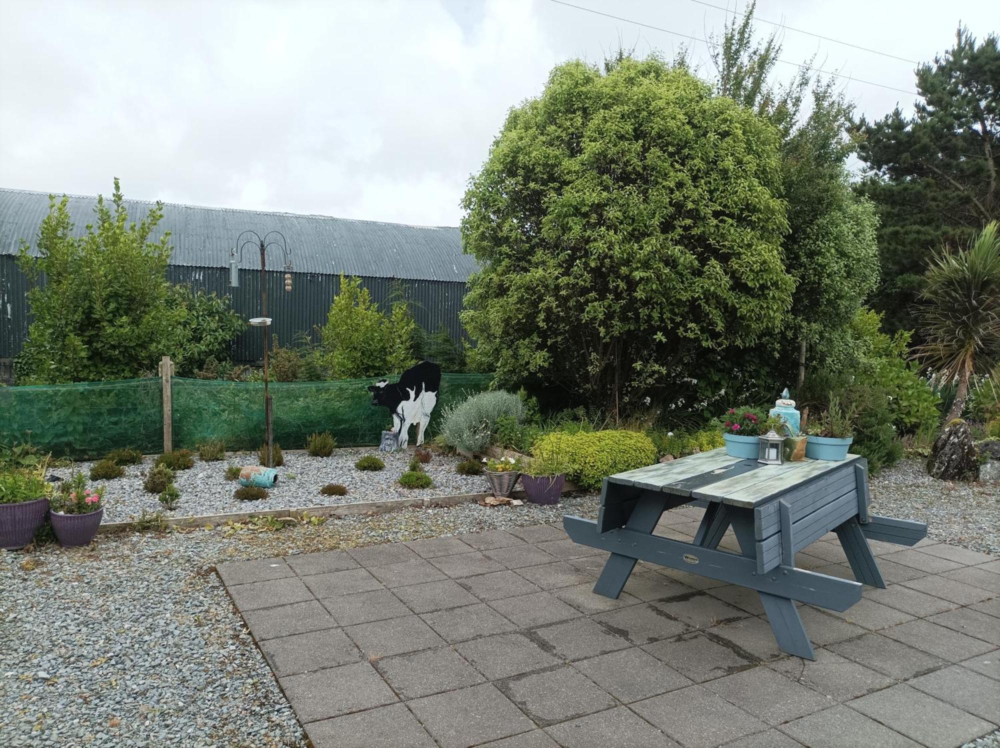 Clifden Wildflower Cottage - Clifden Countryside Lettings 外观 照片